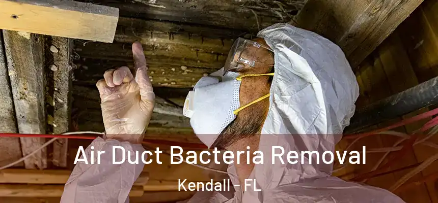 Air Duct Bacteria Removal Kendall - FL
