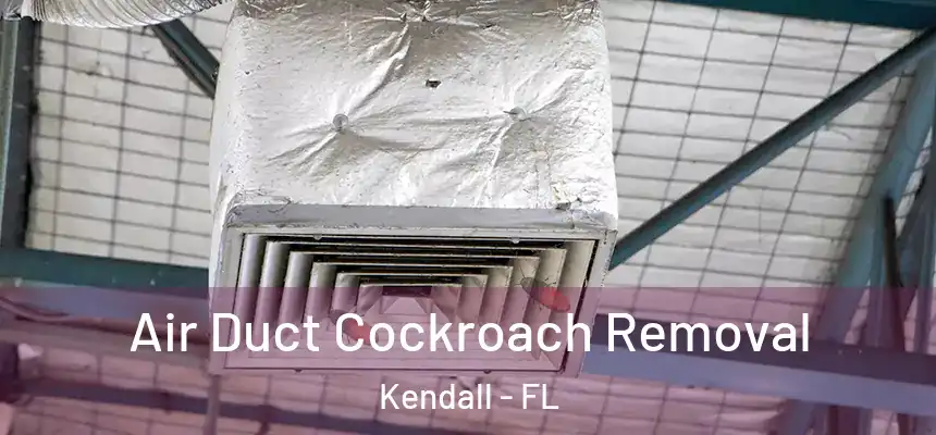 Air Duct Cockroach Removal Kendall - FL