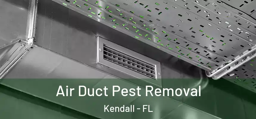  Air Duct Pest Removal Kendall - FL