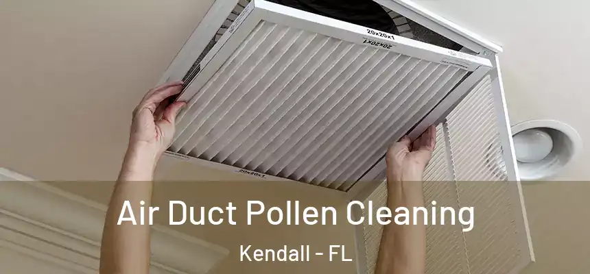 Air Duct Pollen Cleaning Kendall - FL
