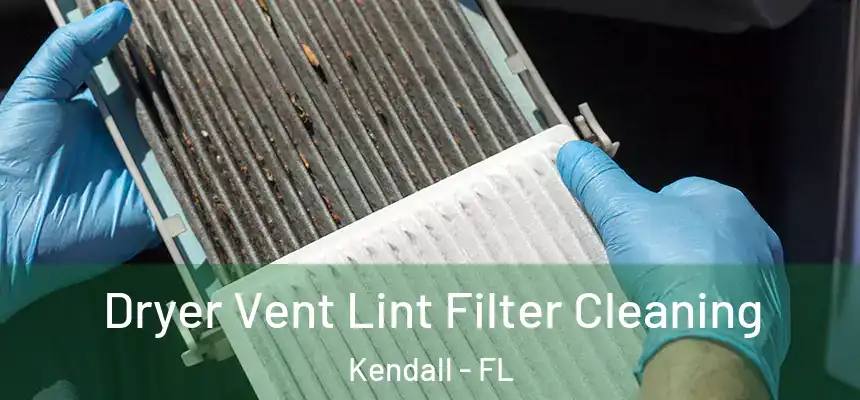  Dryer Vent Lint Filter Cleaning Kendall - FL