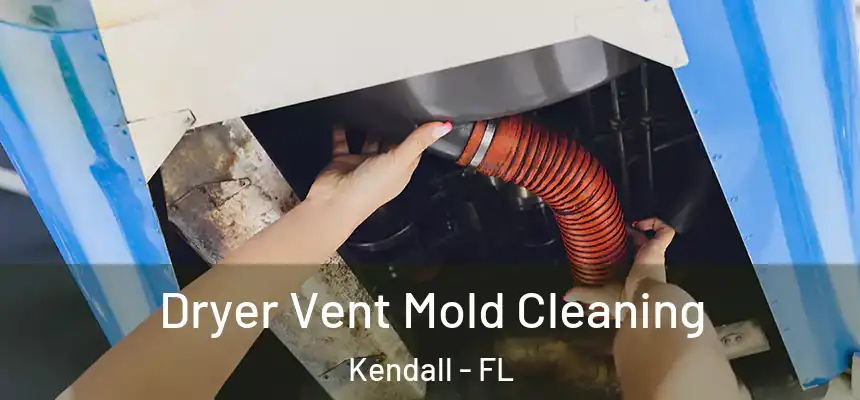  Dryer Vent Mold Cleaning Kendall - FL