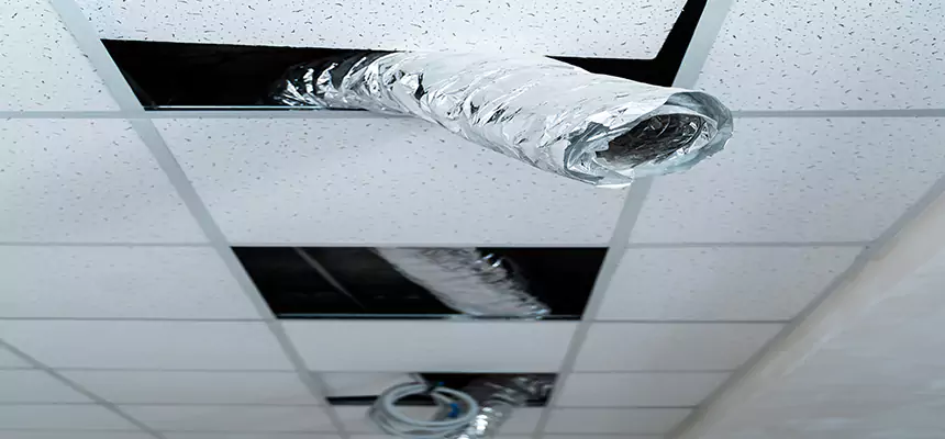 Our Air Duct Pet Hair Removal Services in Kendall, FL