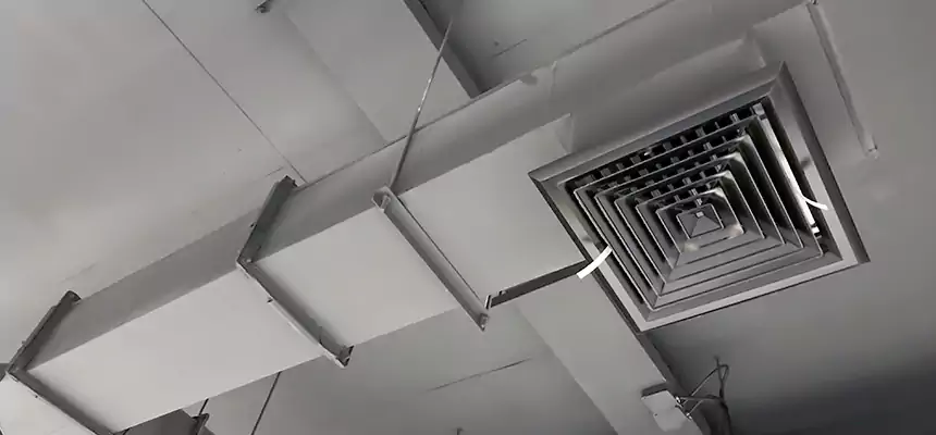 Our Rodent Droppings In Vents Services in Kendall, FL