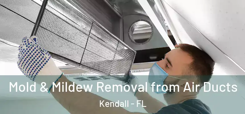 Mold & Mildew Removal from Air Ducts Kendall - FL