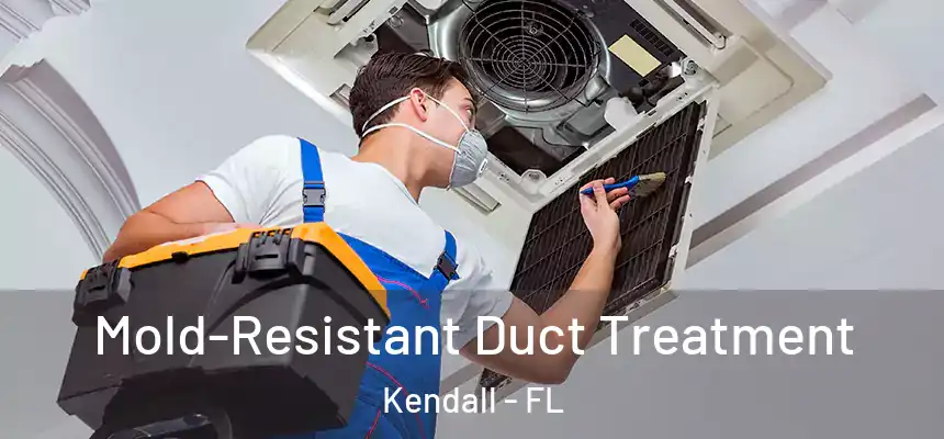  Mold-Resistant Duct Treatment Kendall - FL