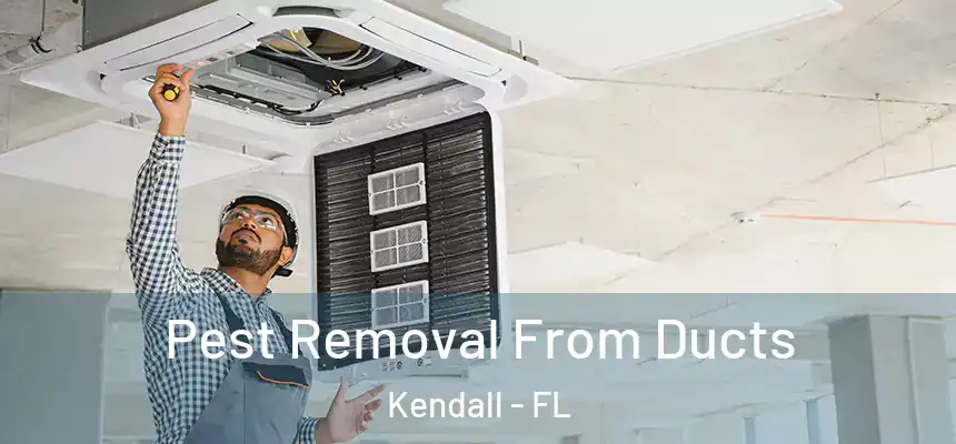  Pest Removal From Ducts Kendall - FL