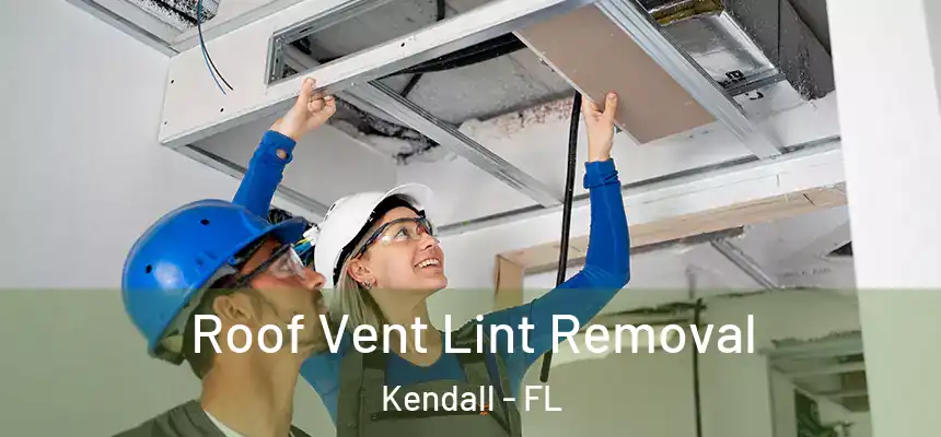  Roof Vent Lint Removal Kendall - FL