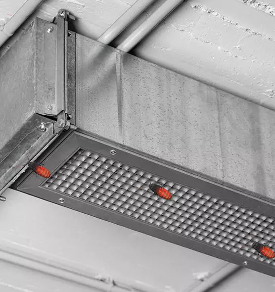 About Air Duct Cockroach Removal in Kendall, FL