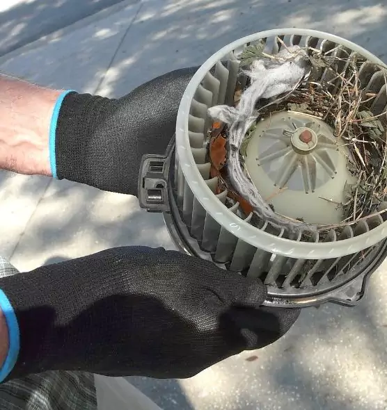 About Air Duct Mice Removal in Kendall, FL