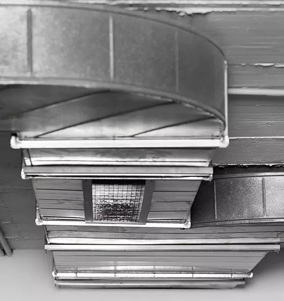 Professional Air Duct Pet Hair Removal in Kendall, FL