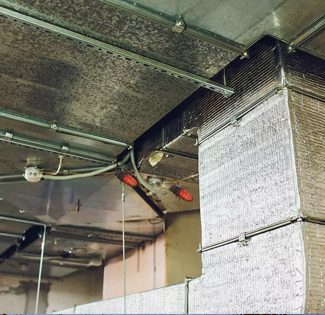 Why Homeowners & Businesses Trust Us in Kendall, FL?