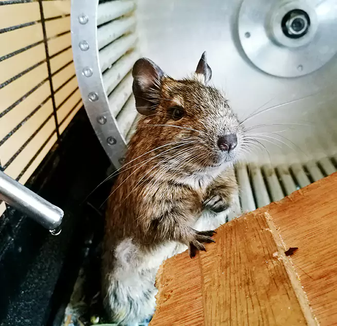 Why Homeowners & Businesses Trust Us Kendall, FL?