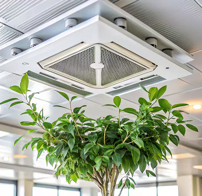 Why Homeowners & Businesses Trust Us in Kendall, FL